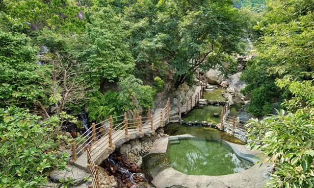 Suối khoáng giữa rừng, cầu gỗ và hồ đá tự nhiên